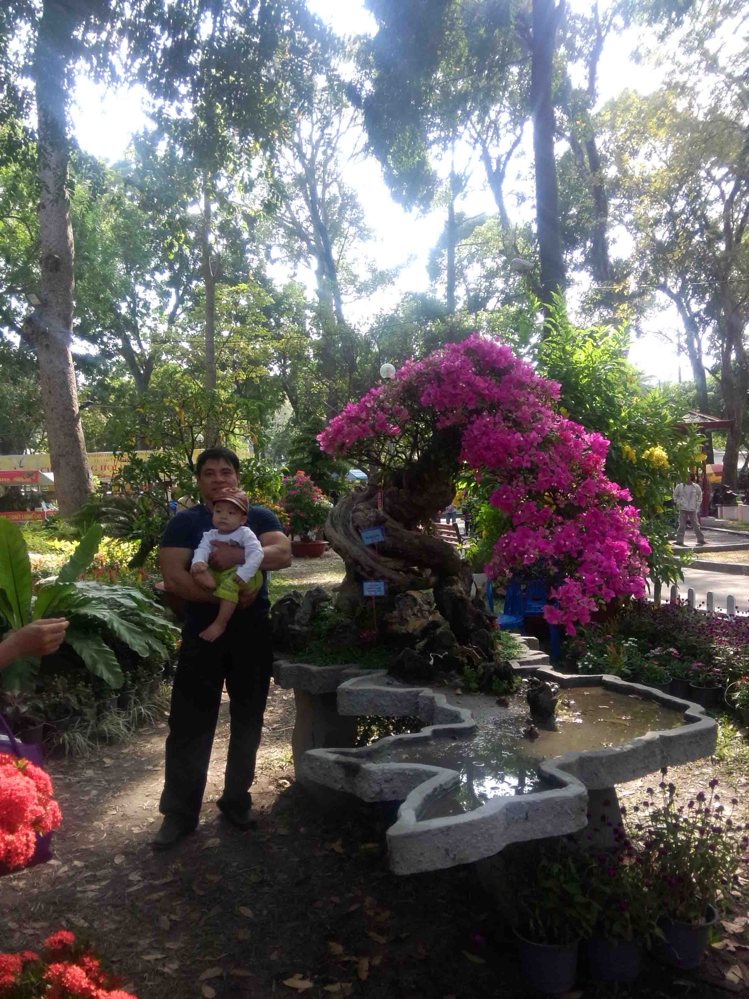 c&acirc;y bong giấy ho&agrave;nh 220cm