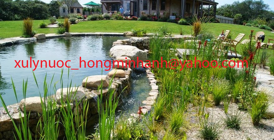 Xử l&yacute; nước hồ bơi an to&agrave;n 